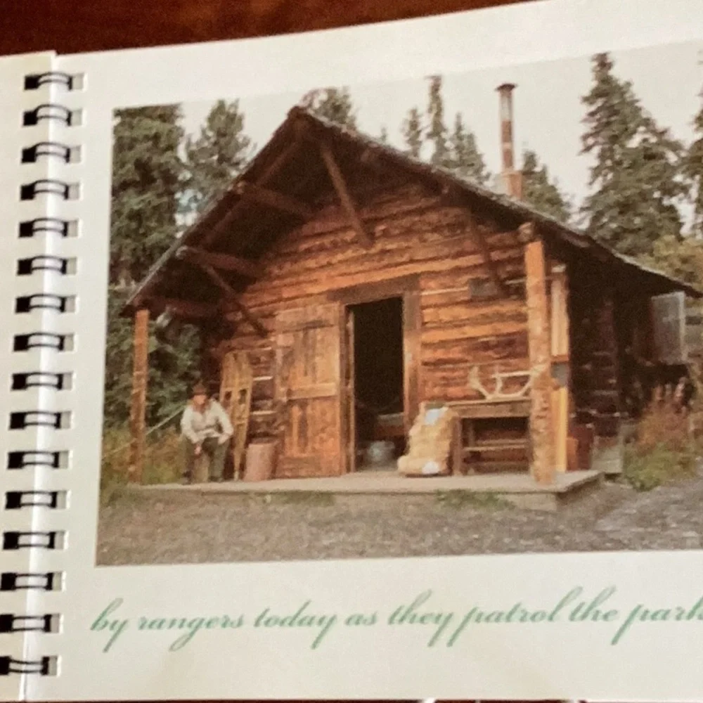 Vintage 🏔️ stunning